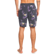 Load image into Gallery viewer, Quiksilver Surfsilk Washed Men's Boardshort 18"