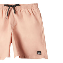 Load image into Gallery viewer, Quiksilver Men's Everyday Volley Short 15"