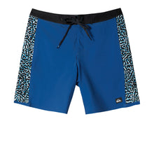 Load image into Gallery viewer, Quiksilver Surfsilk Arch 19 Boardshorts/ Swim Shorts