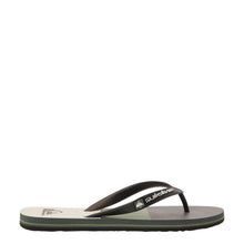 Load image into Gallery viewer, Molokai Stripe Flip Flops/Slippers