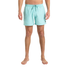 Load image into Gallery viewer, Everyday Solid Volley 15 Boardshorts/ Swim Shorts