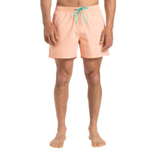 Load image into Gallery viewer, Everyday Solid Volley 15 Boardshorts/ Swim Shorts