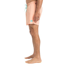 Load image into Gallery viewer, Everyday Solid Volley 15 Boardshorts/ Swim Shorts
