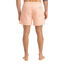 Load image into Gallery viewer, Everyday Solid Volley 15 Boardshorts/ Swim Shorts