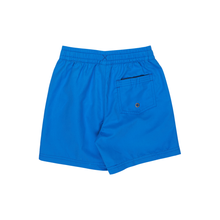 Load image into Gallery viewer, Quiksilver Everyday Volley Boy 12 Boardshorts/ Swim Shorts