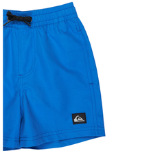 Load image into Gallery viewer, Quiksilver Everyday Volley Boy 12 Boardshorts/ Swim Shorts