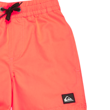 Load image into Gallery viewer, Quiksilver Everyday Volley Boy 12 Boardshorts/ Swim Shorts