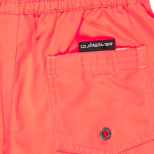 Load image into Gallery viewer, Quiksilver Everyday Volley Boy 12 Boardshorts/ Swim Shorts