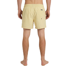 Load image into Gallery viewer, QUIKSILVER Everyday Solid Volley 15 Id Boardshorts/ Swim Shorts