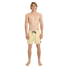 Load image into Gallery viewer, QUIKSILVER Everyday Solid Volley 15 Id Boardshorts/ Swim Shorts