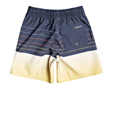 Load image into Gallery viewer, Quiksilver Boy Kid's Pntbrkbstby Boardshorts 12"