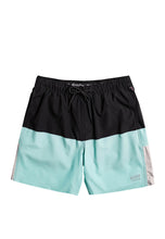 Load image into Gallery viewer, Men's Omni Training Boardshorts 17"