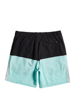 Load image into Gallery viewer, Men's Omni Training Boardshorts 17"