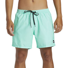 Load image into Gallery viewer, Everyday Solid Volley 15 Men&#39;s Volley Short 15&quot;
