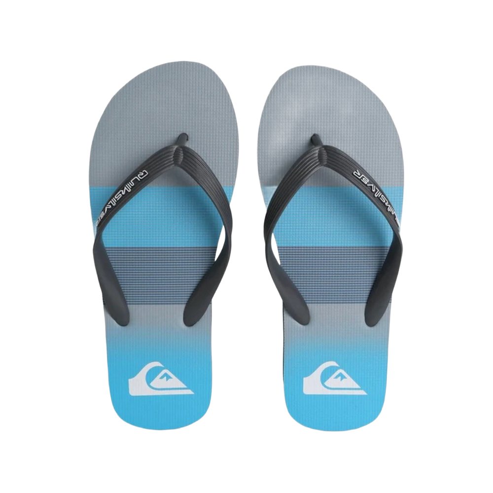 Quiksilver Moncata Art Flip Flops/Slippers