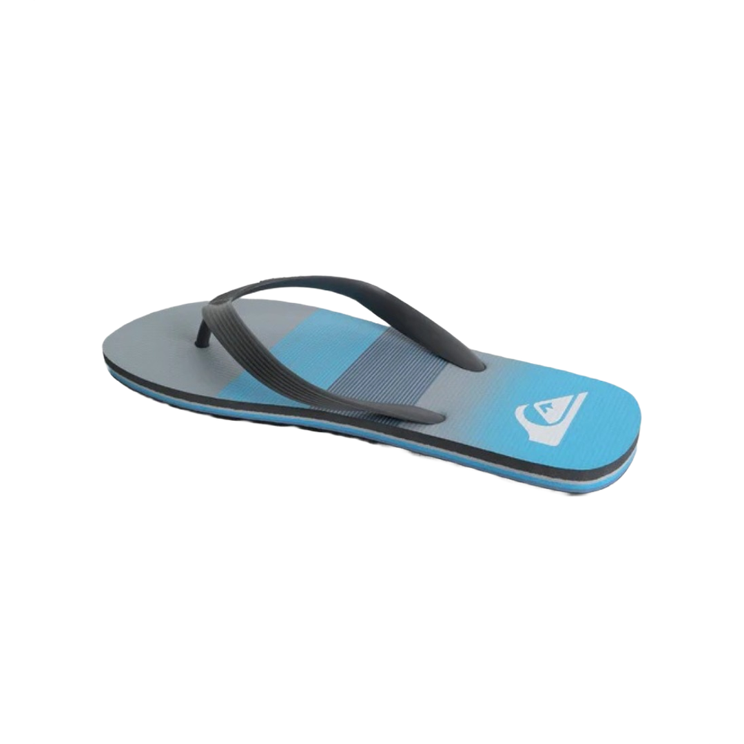 Quiksilver Moncata Art Flip Flops/Slippers