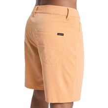 Load image into Gallery viewer, Quiksilver Nelson Amphibian 18 Boardshorts/ Swim Shorts
