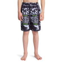 Load image into Gallery viewer, Quiksilver Mercury Volley Youth 17 Boardshorts/ Swim Shorts
