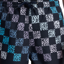 Load image into Gallery viewer, Quiksilver Everyday Printed Volley Youth 14 Boardshorts/ Swim Shorts
