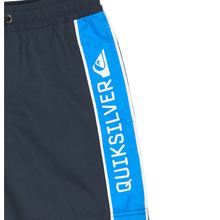 Load image into Gallery viewer, Quiksilver Everyday Clicker Volley Youth 15 Boardshorts/ Swim Shorts

