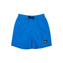 Load image into Gallery viewer, Quiksilver Everyday Volley Boy 12 Boardshorts/ Swim Shorts
