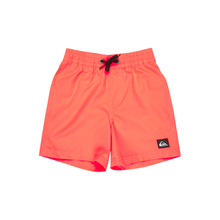 Load image into Gallery viewer, Quiksilver Everyday Volley Boy 12 Boardshorts/ Swim Shorts
