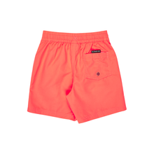 Load image into Gallery viewer, Quiksilver Everyday Volley Boy 12 Boardshorts/ Swim Shorts
