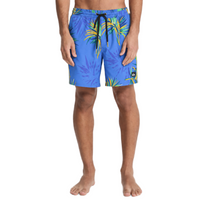 Load image into Gallery viewer, QUIKSILVER Stretch Printed Volley 17Nb Boardshorts/ Swim Shorts
