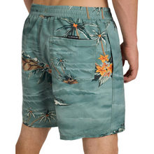Load image into Gallery viewer, QUIKSILVER Everyday Printed Volley 17Nb Boardshorts/ Swim Shorts
