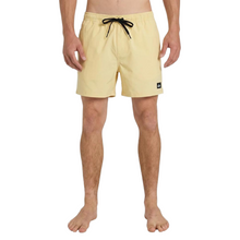 Load image into Gallery viewer, QUIKSILVER Everyday Solid Volley 15 Id Boardshorts/ Swim Shorts
