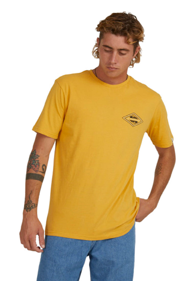 Reverse Logo Ss Shirt – Quiksilver PH